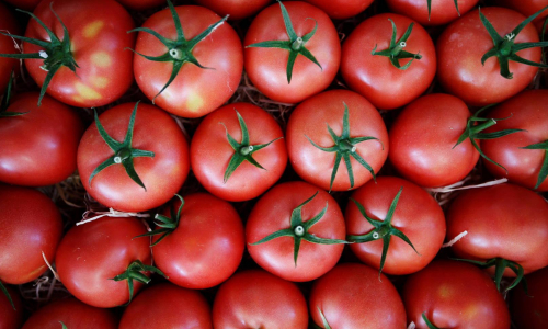 Какие витамины в помидорах и чем они полезны Интернет