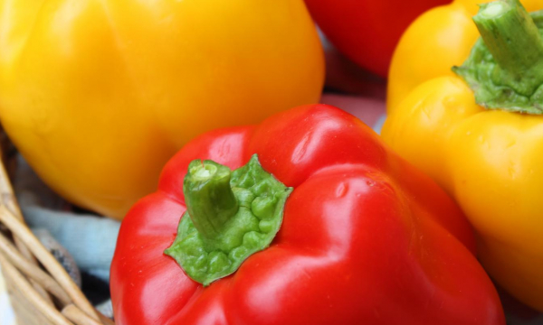 Овощи на вашем огороде, которые могут быть опасны для желудка