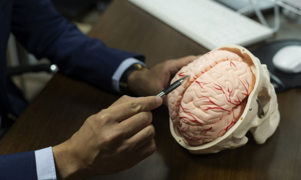 Назван разрушающий мозг популярный продукт